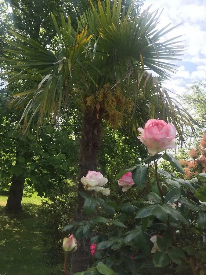 Oda ve Kahvaltı Villa Toulousaine Grisolles