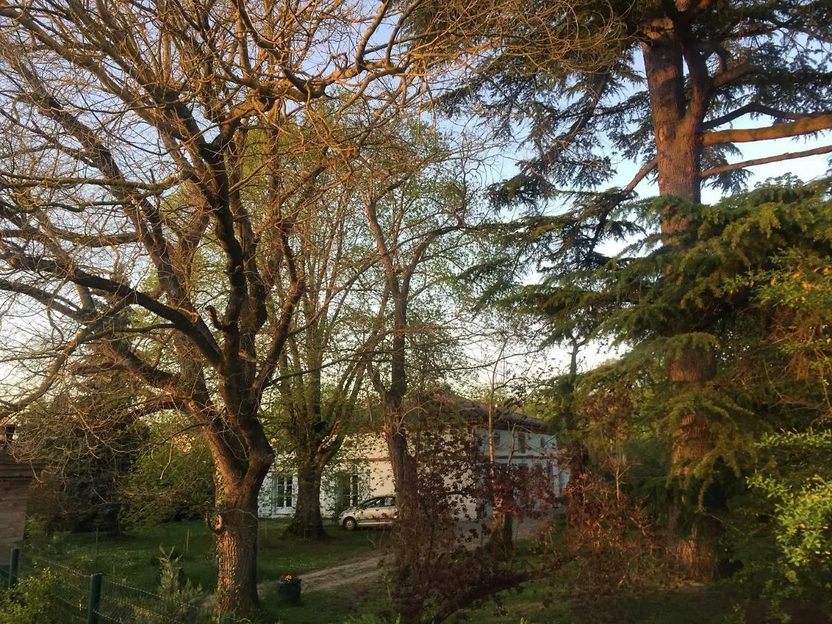 Villa Toulousaine Grisolles